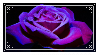 Neon Purple Aesthetic 6